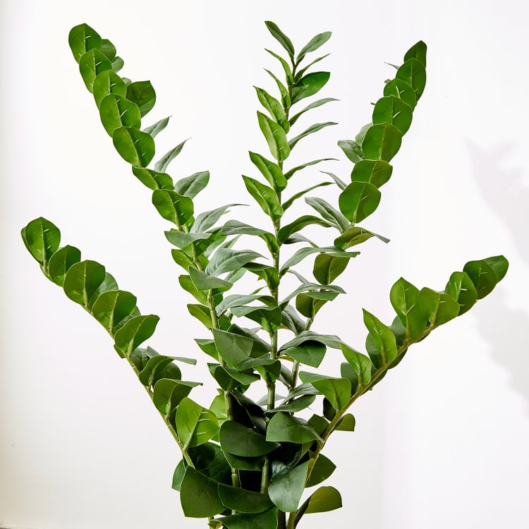 Gardenia Artificial Zamioculcas Tree in Polypropylene Pot - Large