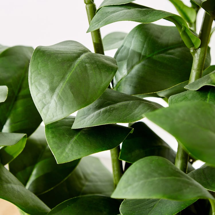 Gardenia Artificial Zamioculcas Tree in Polypropylene Pot - Large