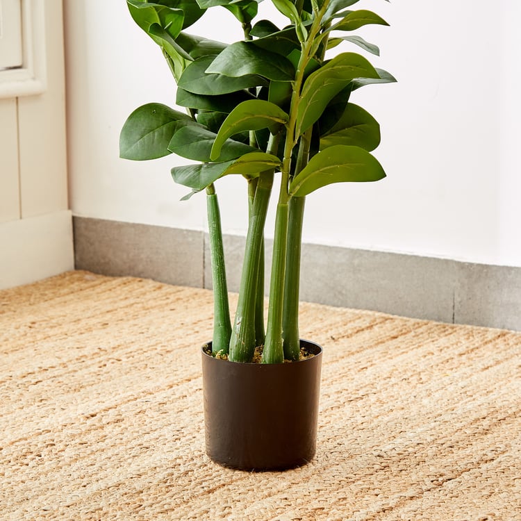 Gardenia Artificial Zamioculcas Tree in Polypropylene Pot - Large