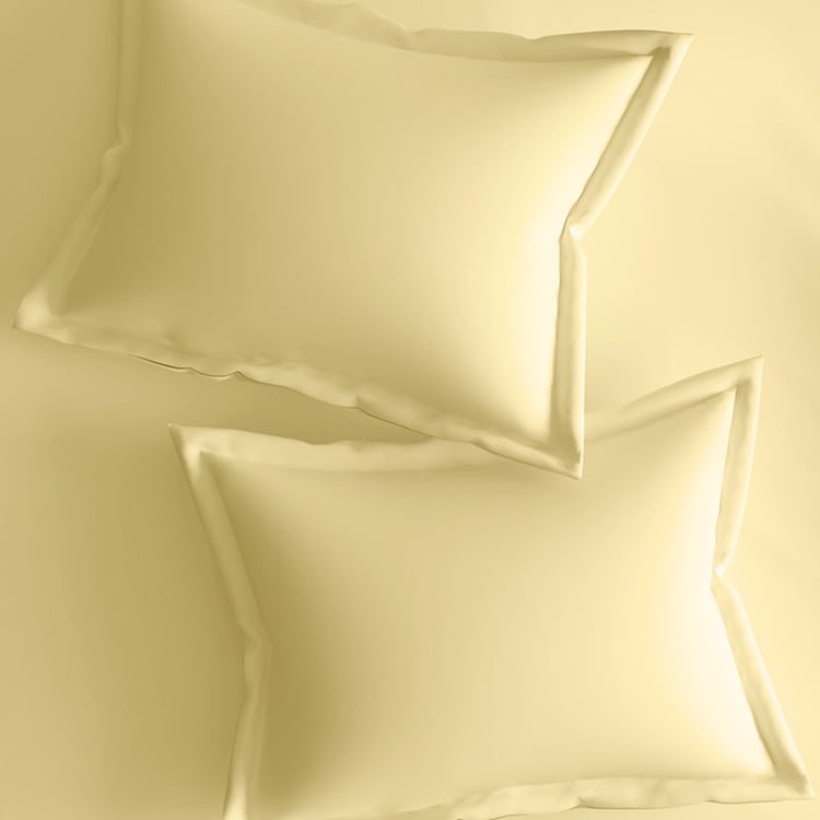PORTICO Evita Cotton 400TC 3Pcs Super King Bedsheet Set