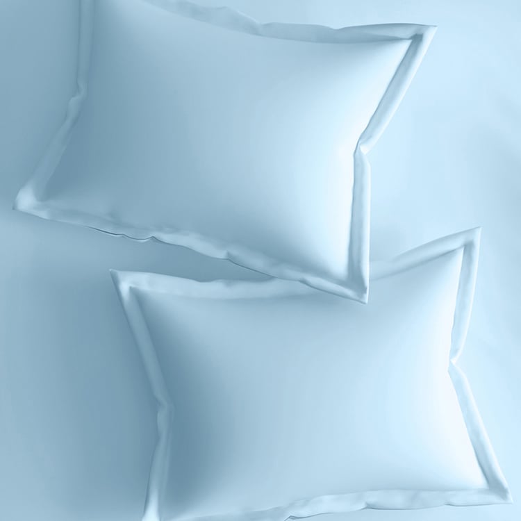 PORTICO Evita Cotton 400TC 3Pcs Super King Bedsheet Set