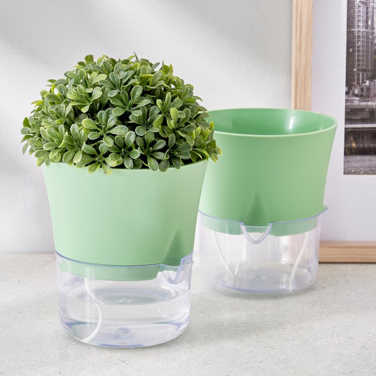 Lets Garden Austin Lush Polypropylene Self-Watering Planter