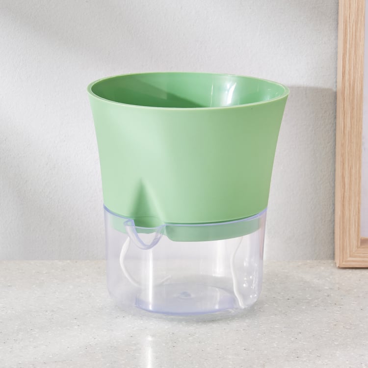 Lets Garden Austin Lush Polypropylene Self-Watering Planter