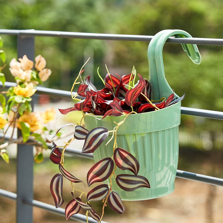 Lets Garden Hanging Planter