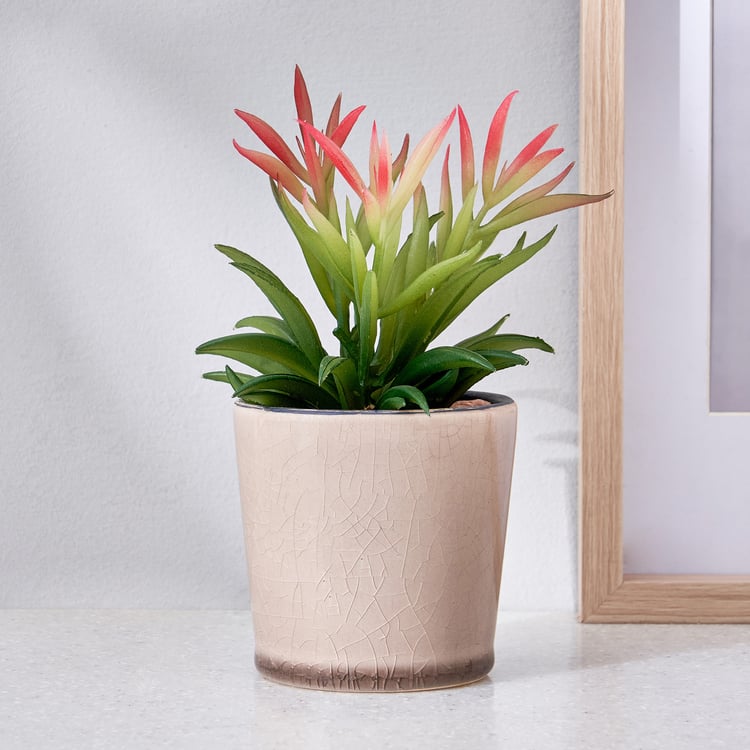 Corsica Barnett Artificial Succulent in Ceramic Pot