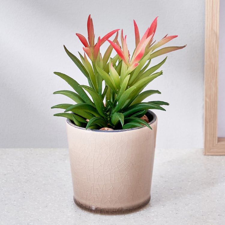 Corsica Barnett Artificial Succulent in Ceramic Pot