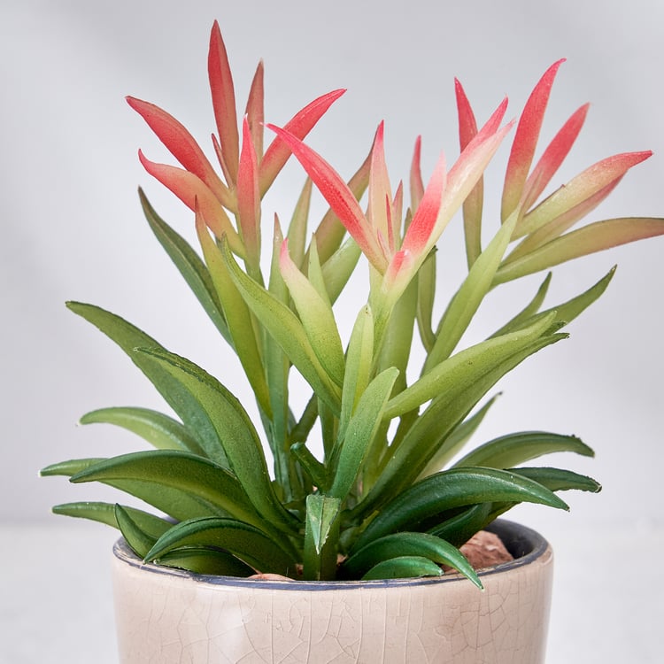 Corsica Barnett Artificial Succulent in Ceramic Pot