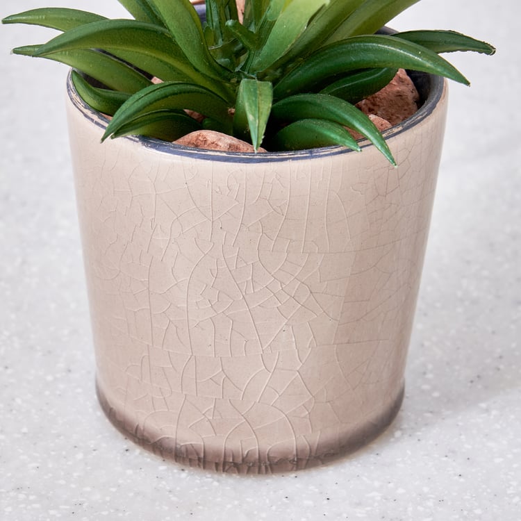 Corsica Barnett Artificial Succulent in Ceramic Pot