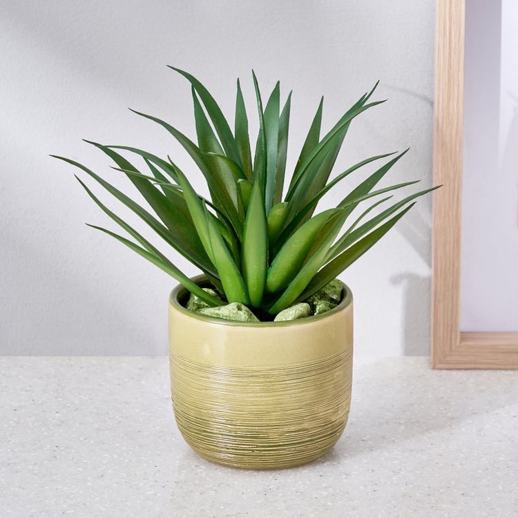 Corsica Barnett Artificial Succulent in Ceramic Pot