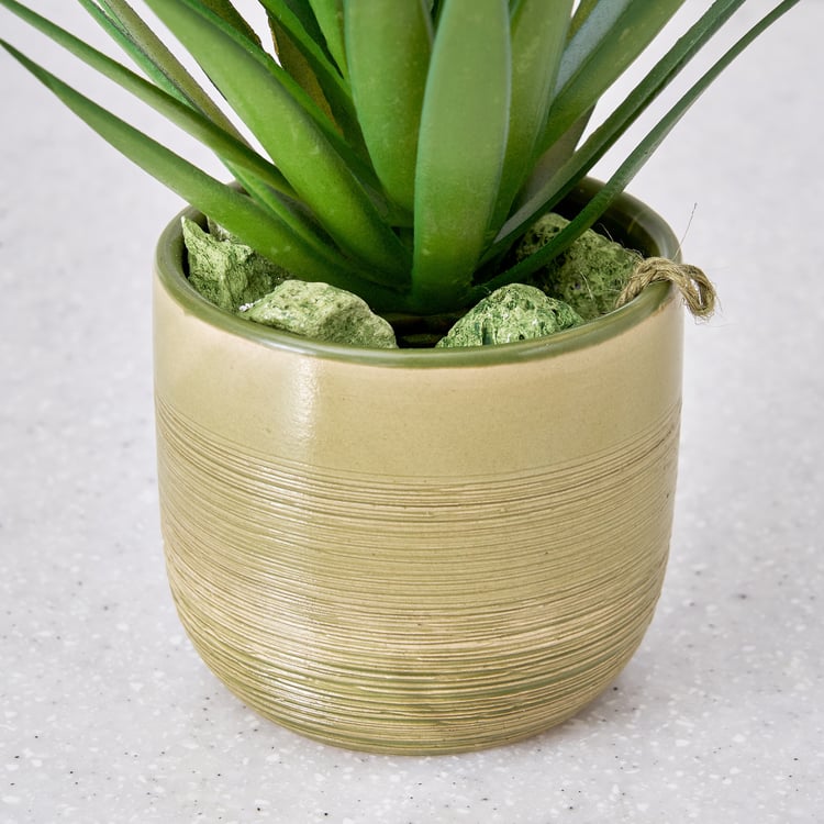 Corsica Barnett Artificial Succulent in Ceramic Pot