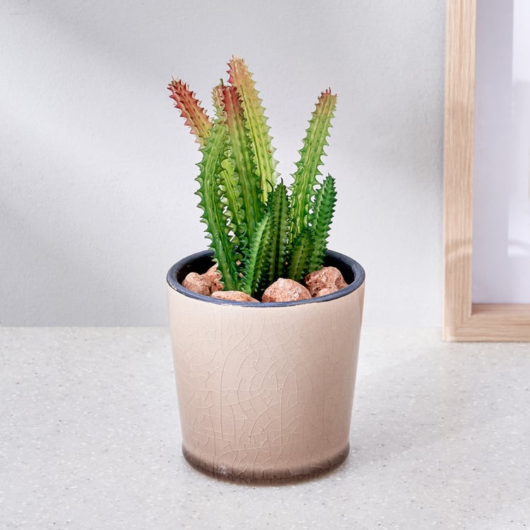 Corsica Barnett Artificial Succulent in Ceramic Pot