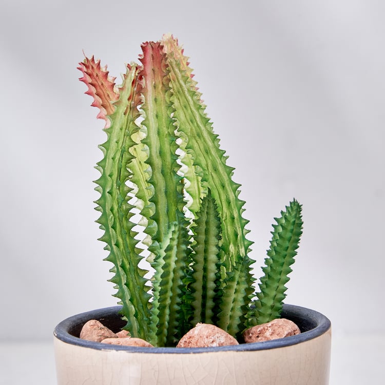 Corsica Barnett Artificial Succulent in Ceramic Pot