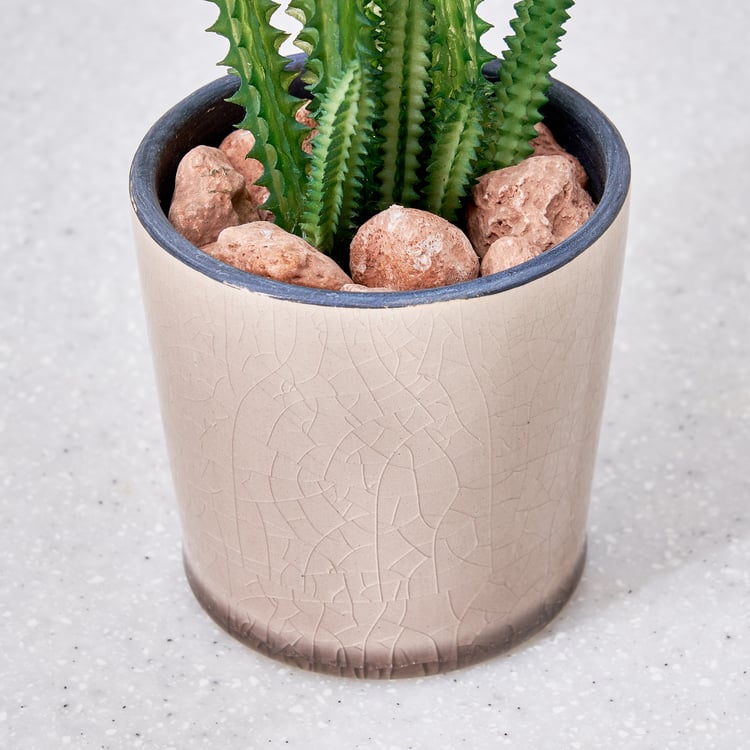 Corsica Barnett Artificial Succulent in Ceramic Pot