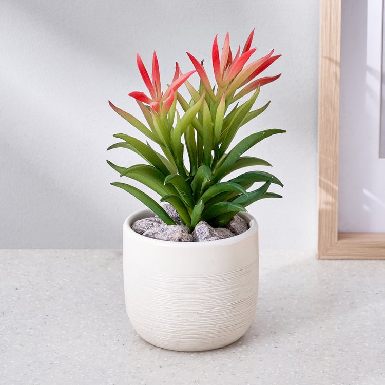 Corsica Barnett Artificial Succulent in Ceramic Pot