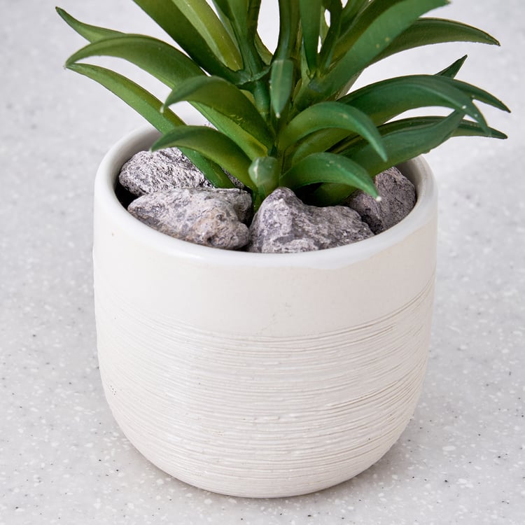 Corsica Barnett Artificial Succulent in Ceramic Pot