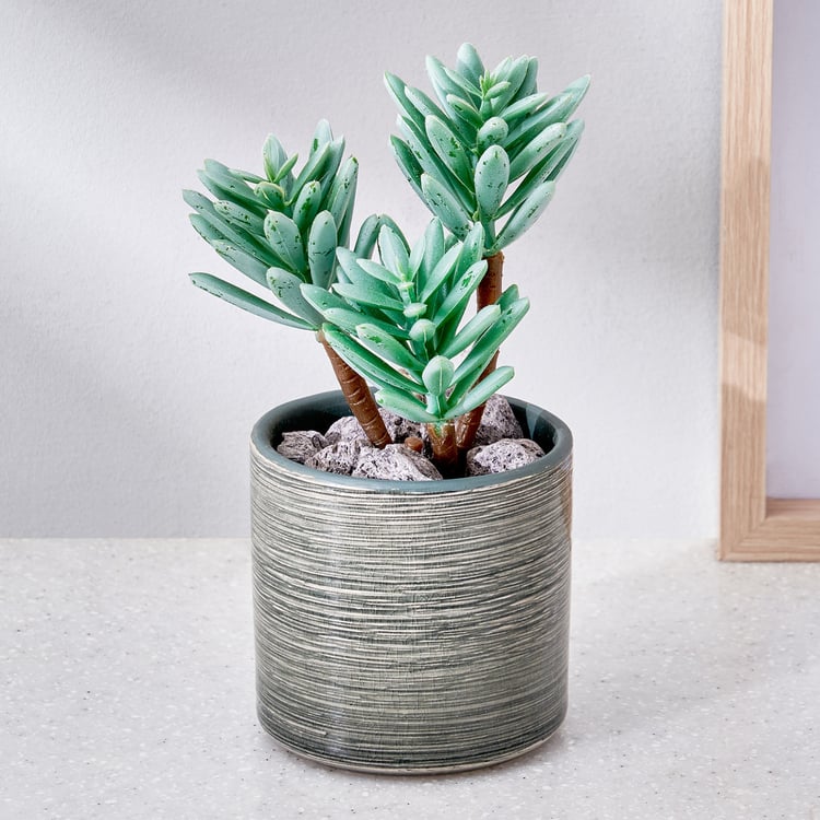 Corsica Barnett Artificial Succulent in Ceramic Pot