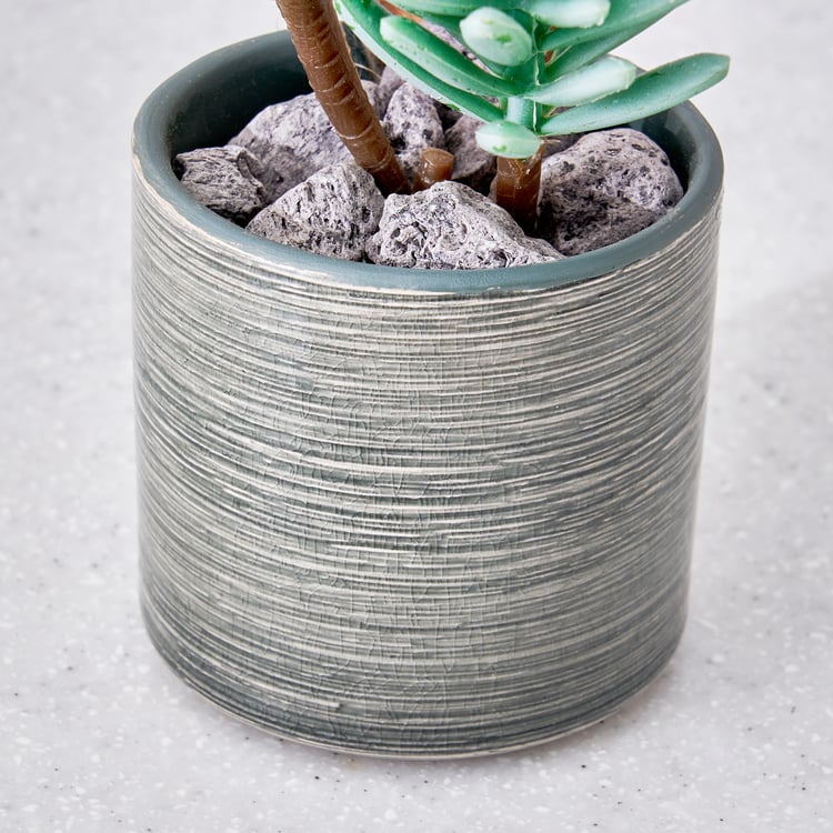 Corsica Barnett Artificial Succulent in Ceramic Pot