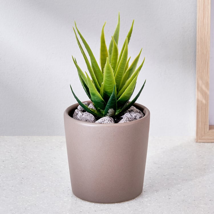 Corsica Barnett Artificial Succulent in Ceramic Pot