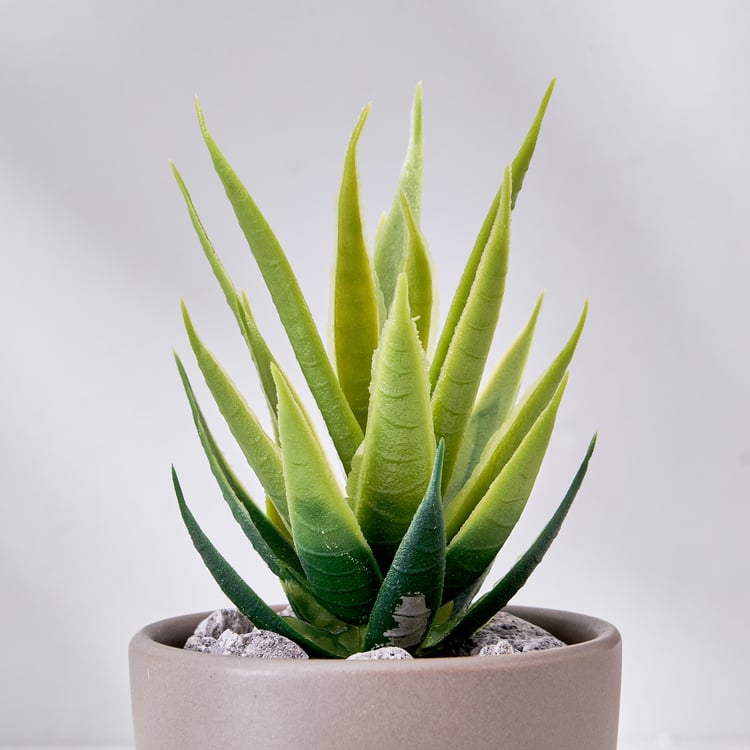 Corsica Barnett Artificial Succulent in Ceramic Pot