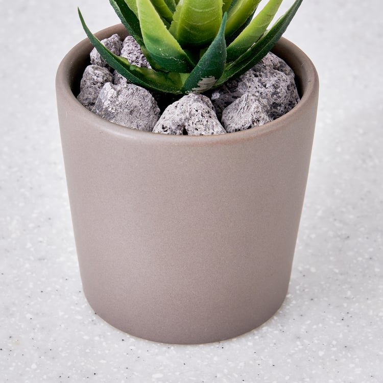 Corsica Barnett Artificial Succulent in Ceramic Pot