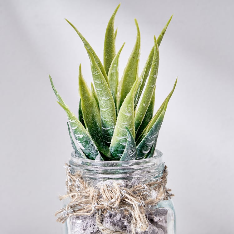 Corsica Tricia Artificial Succulent in Glass Jar