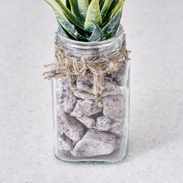 Corsica Tricia Artificial Succulent in Glass Jar