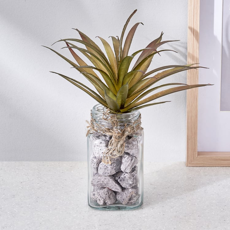 Corsica Tricia Artificial Succulent in Glass Jar