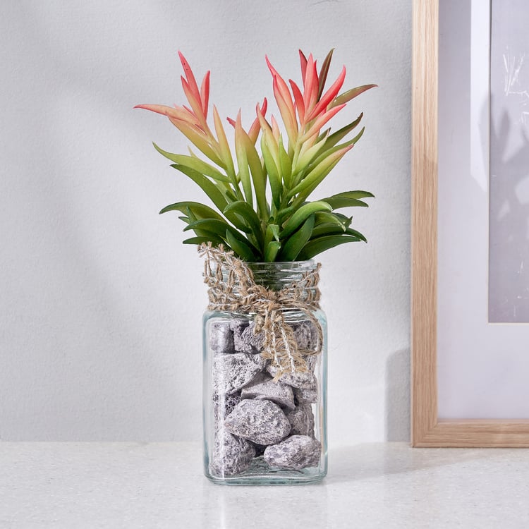 Corsica Tricia Artificial Succulent in Glass Jar