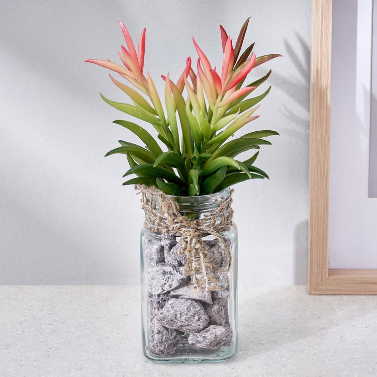 Corsica Tricia Artificial Succulent in Glass Jar