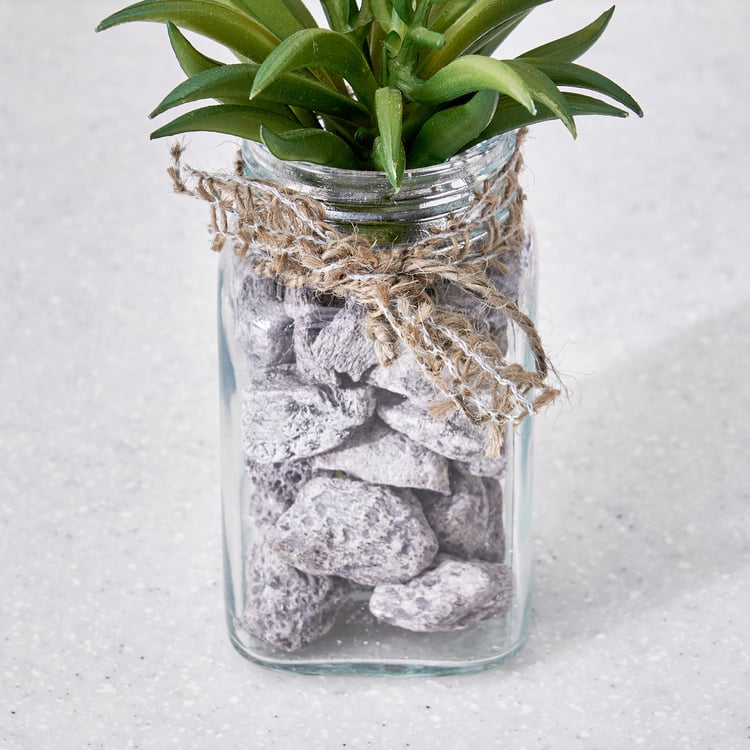 Corsica Tricia Artificial Succulent in Glass Jar