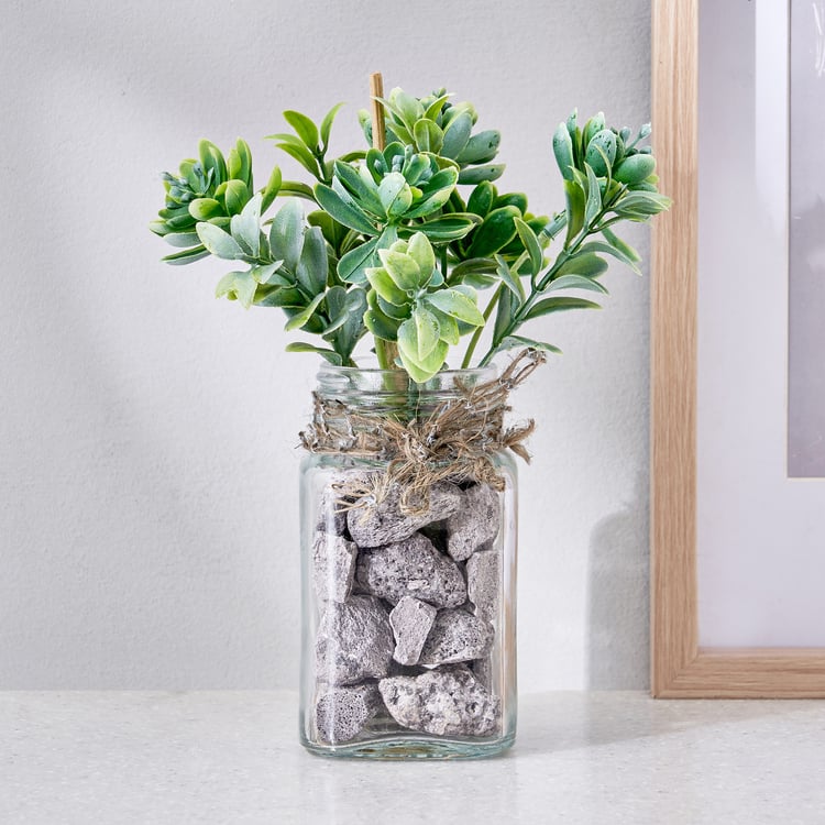 Corsica Tricia Artificial Succulent in Glass Jar