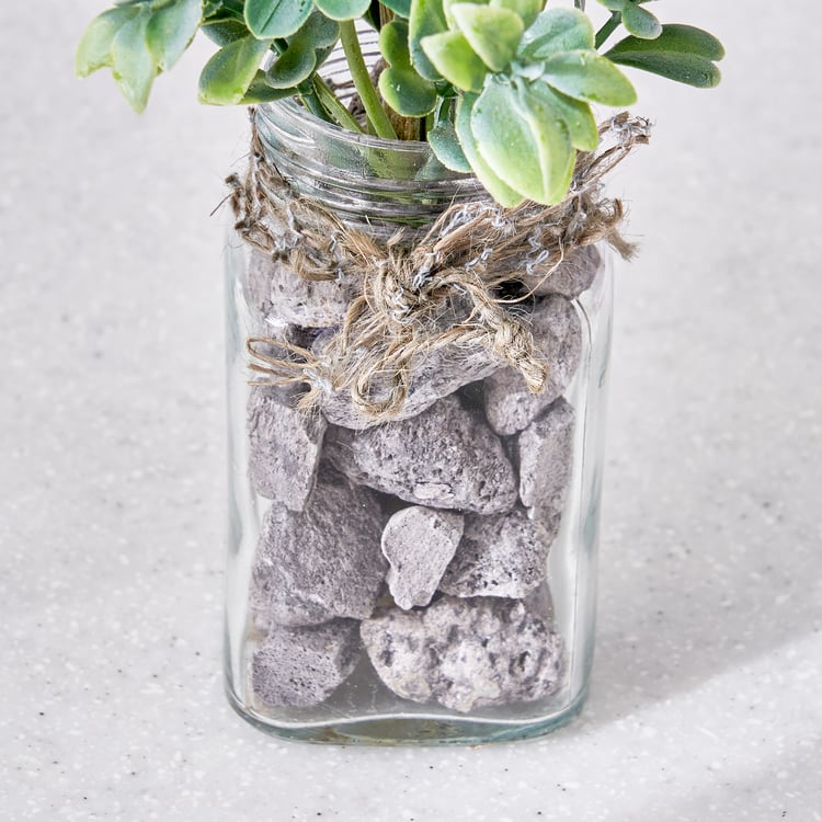 Corsica Tricia Artificial Succulent in Glass Jar