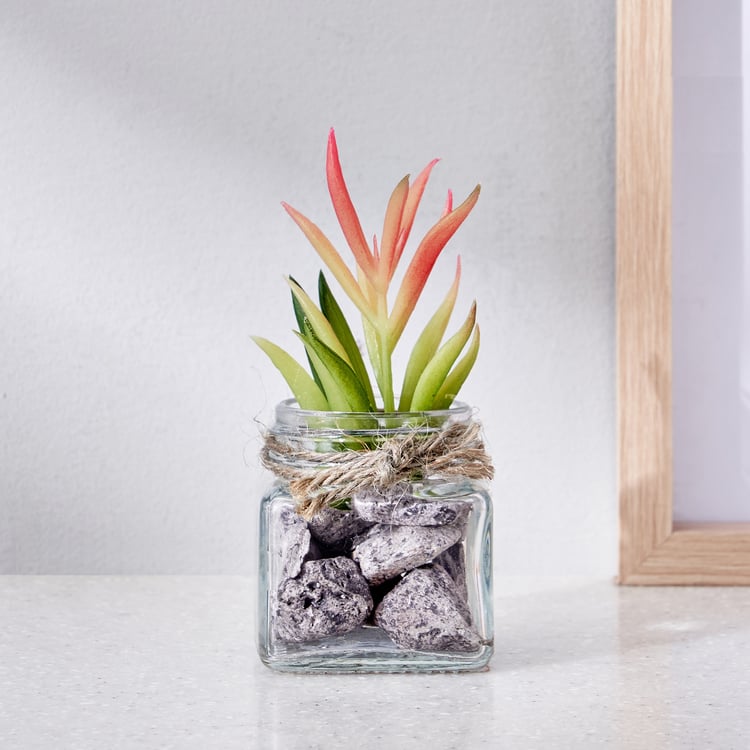 Corsica Tricia Artificial Succulent in Glass Jar