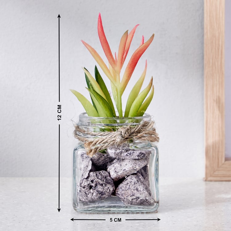 Corsica Tricia Artificial Succulent in Glass Jar