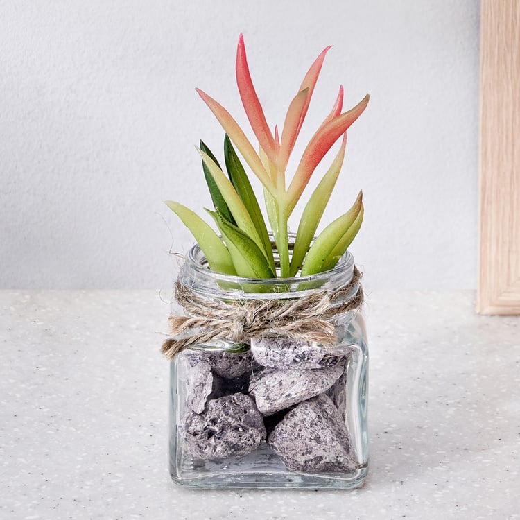 Corsica Tricia Artificial Succulent in Glass Jar