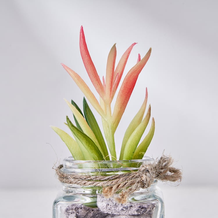 Corsica Tricia Artificial Succulent in Glass Jar