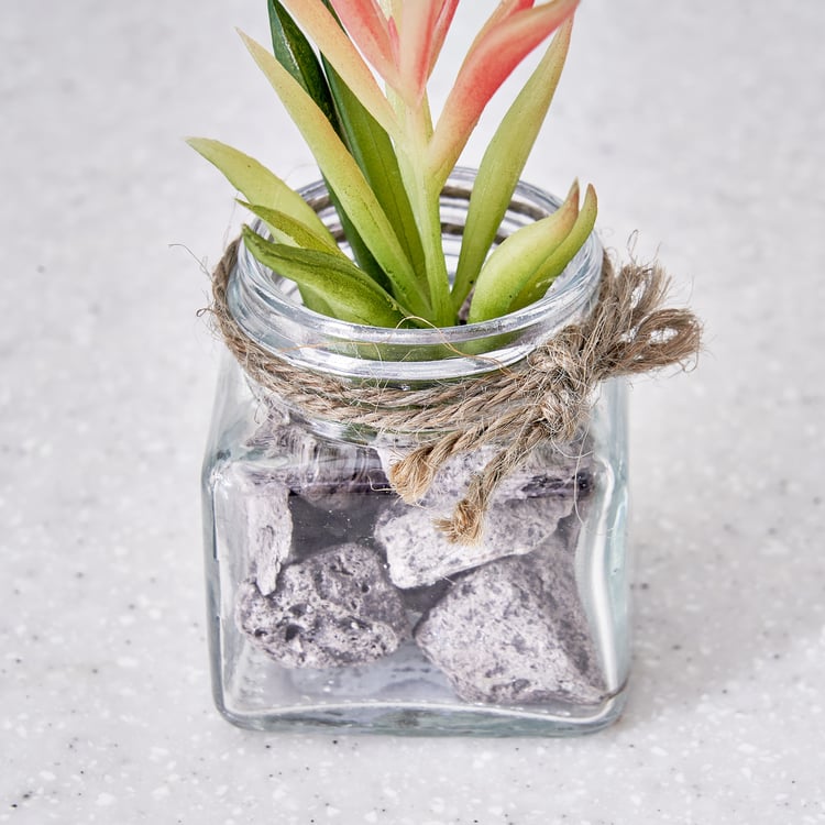 Corsica Tricia Artificial Succulent in Glass Jar