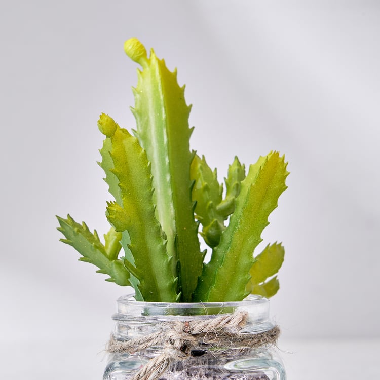 Corsica Tricia Artificial Succulent in Glass Jar