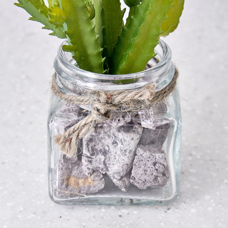 Corsica Tricia Artificial Succulent in Glass Jar