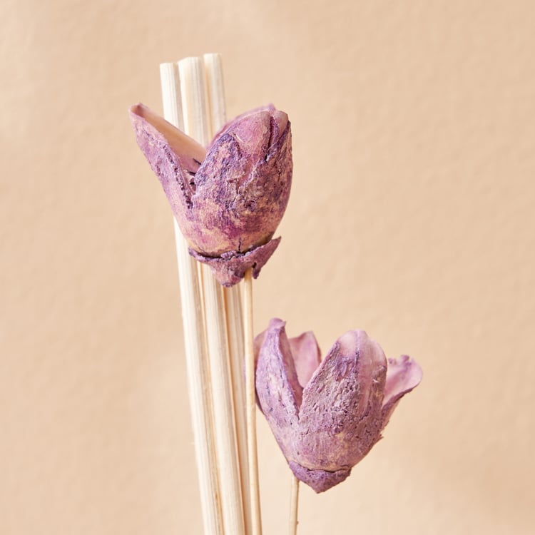 Corsica Moritz Lavender Reed Diffuser Set