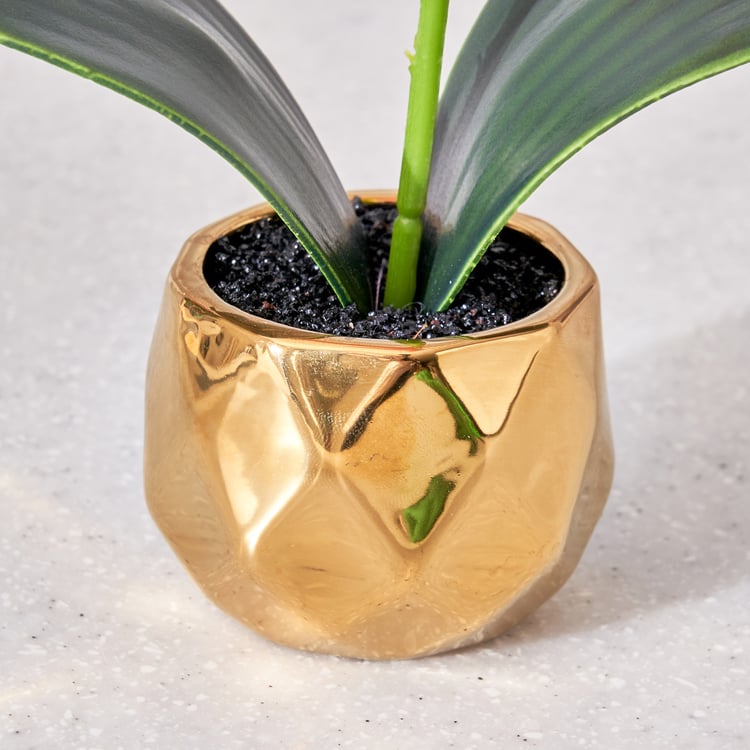 Corsica Artificial Plant in Ceramic Pot