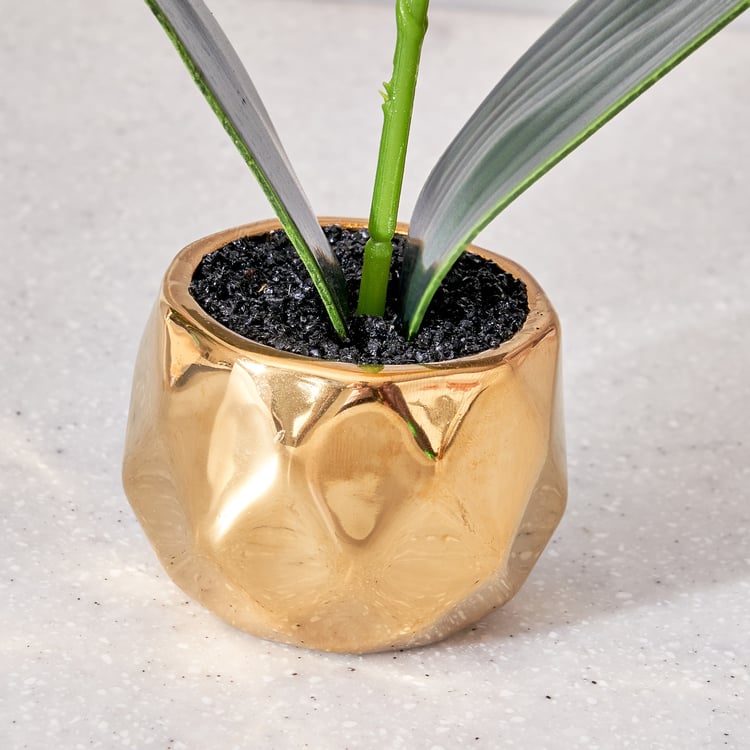 Corsica Artificial Plant in Ceramic Pot