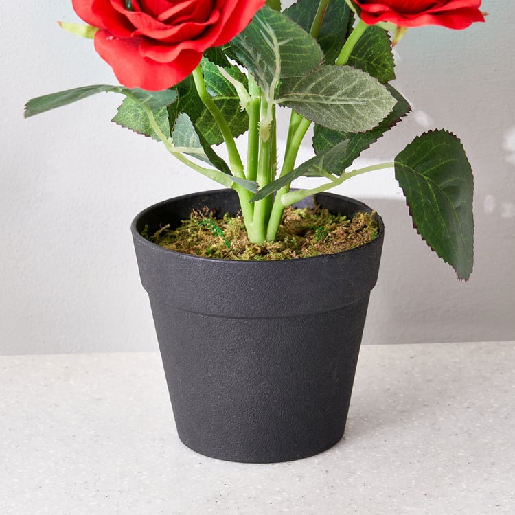 Corsica Artificial Rose Plant in Pot