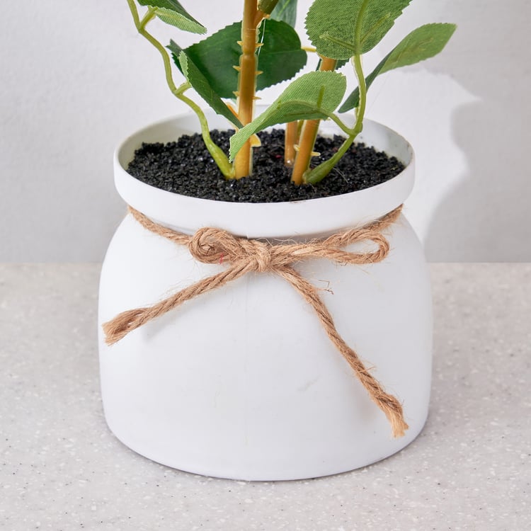 Corsica Artificial Rose Plant in Pot