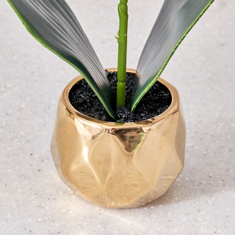 Corsica Artificial Plant in Ceramic Pot