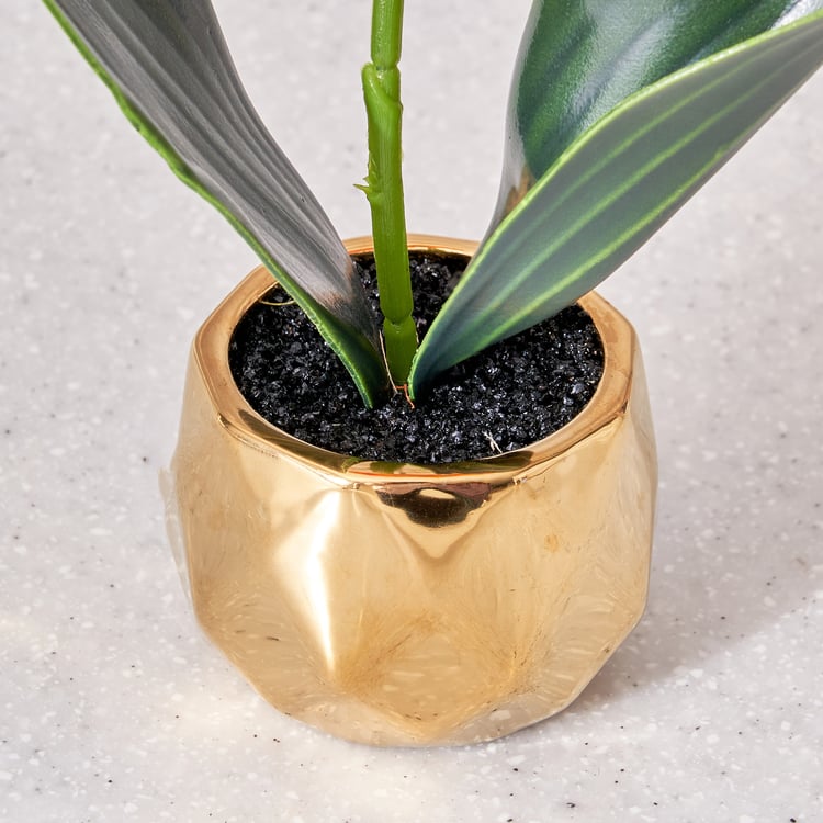 Corsica Artificial Plant in Ceramic Pot