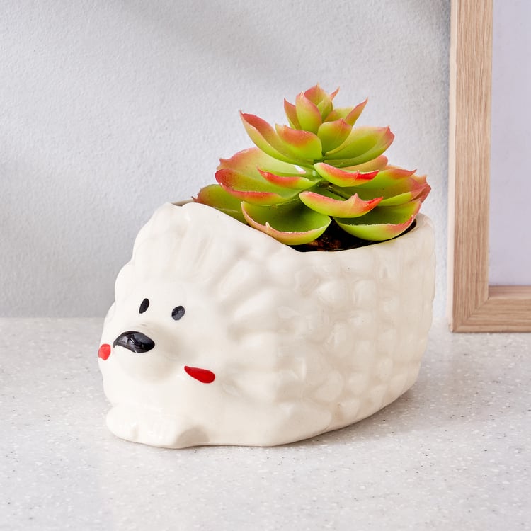 Corsica Eden Ceramic Planter