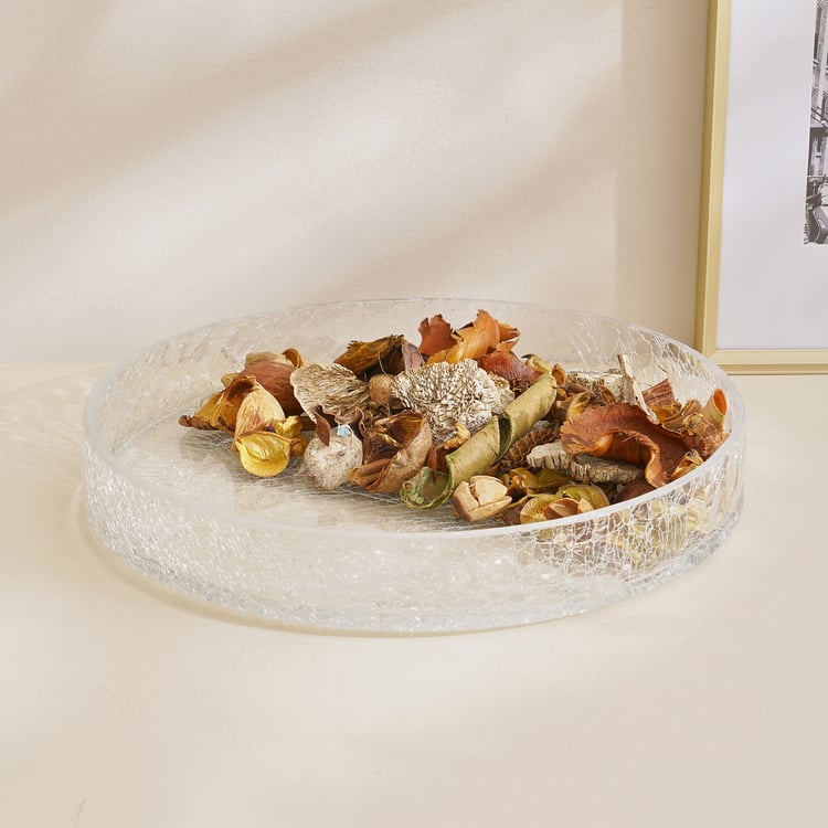 Nolan Glass Decorative Bowl