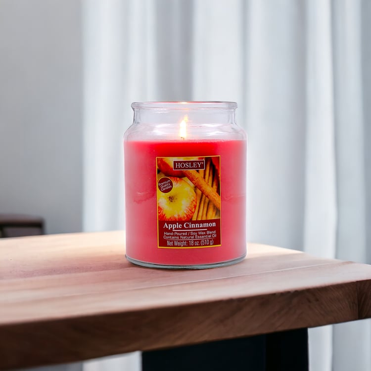 HOSLEY Apple Cinnamon Scented Jar Candle