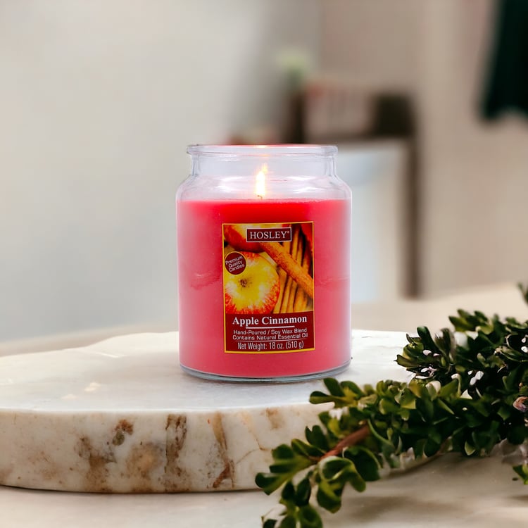 HOSLEY Apple Cinnamon Scented Jar Candle